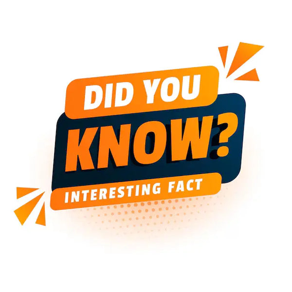 Additional Insights and Interesting Facts