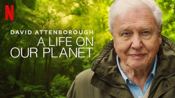 David Attenborough: A Life on Our Planet Documentary | Minimalism Best Documentaries About Sustainability | Documentaries | Ecoblog | Friendly Turtle