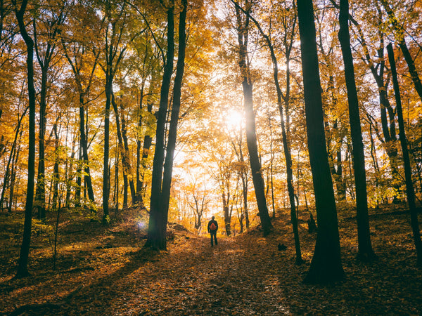 Walking Meditation