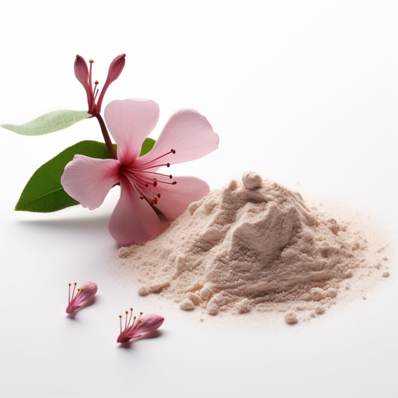 hujat_62036_creat_a_realistic_photo_of_Oroxylum_Indicum_powder__9ace5dcb-5b3e-49ff-8676-db5ff1e99d1a.webp__PID:690b2073-1d97-4157-8bc6-14211b2e2939