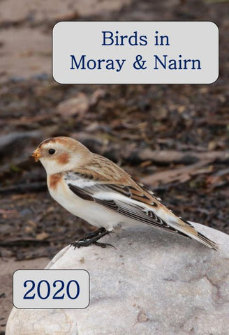Moray Bird Report