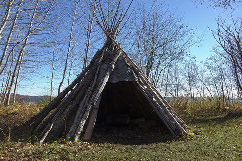 Tipi