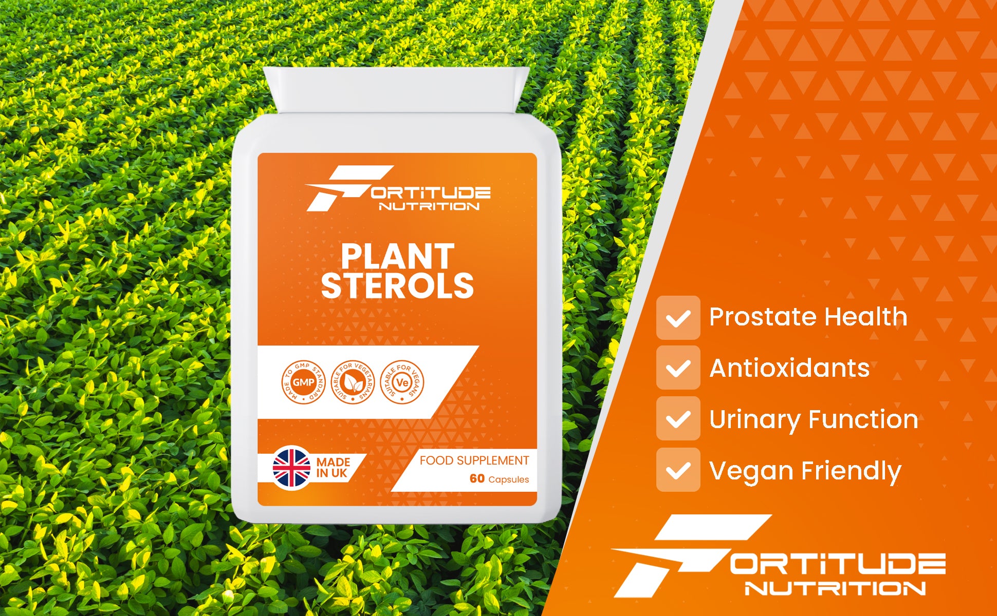 Plant Sterols Benefits