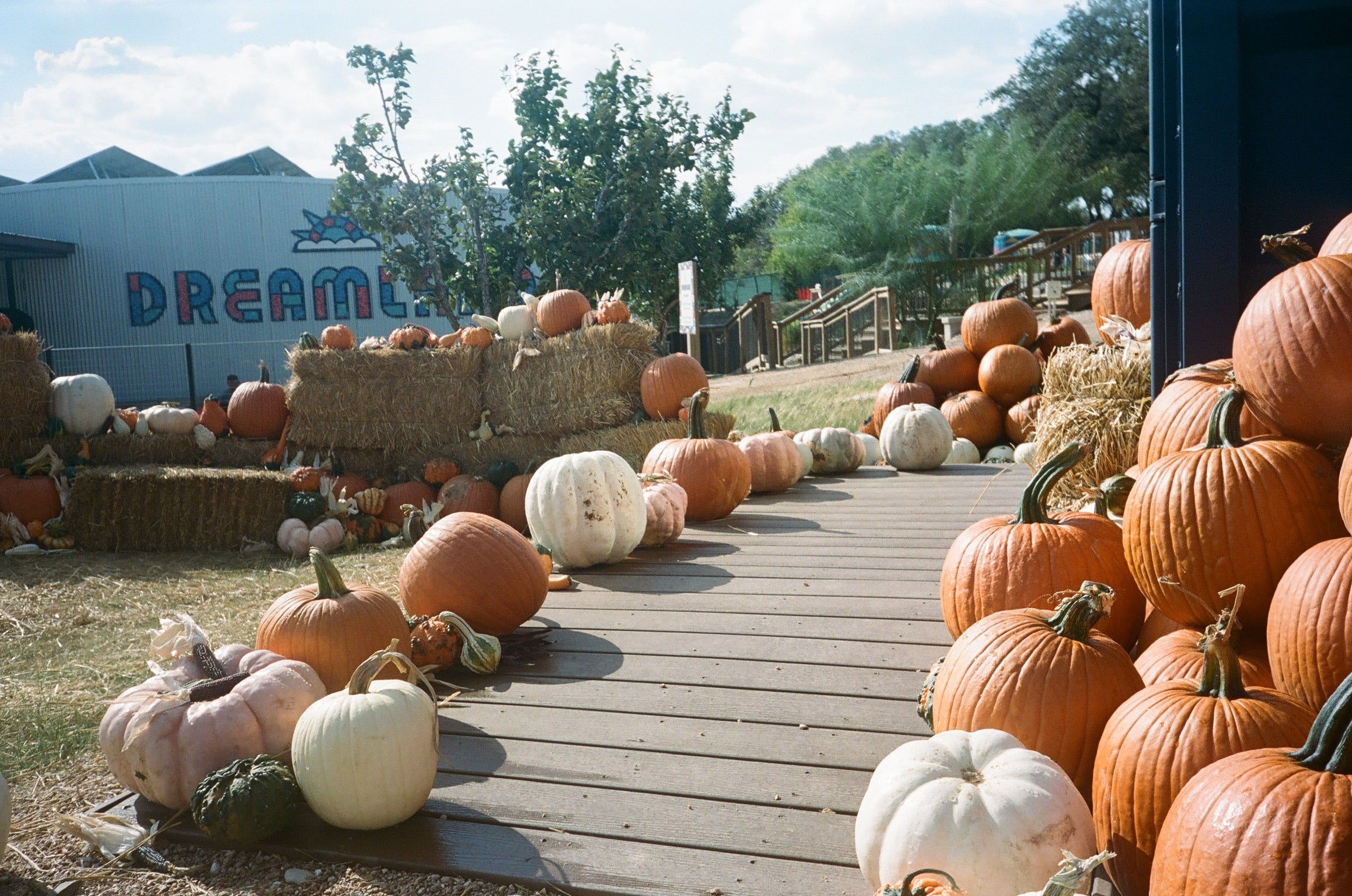 Pumpkin Patch Austin