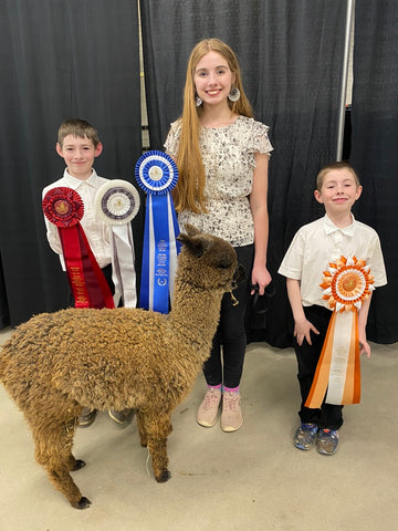 Kids showing alpacas 2023