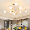 Venn Ceiling Light