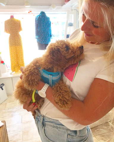 Marita Welcomes a dog in store