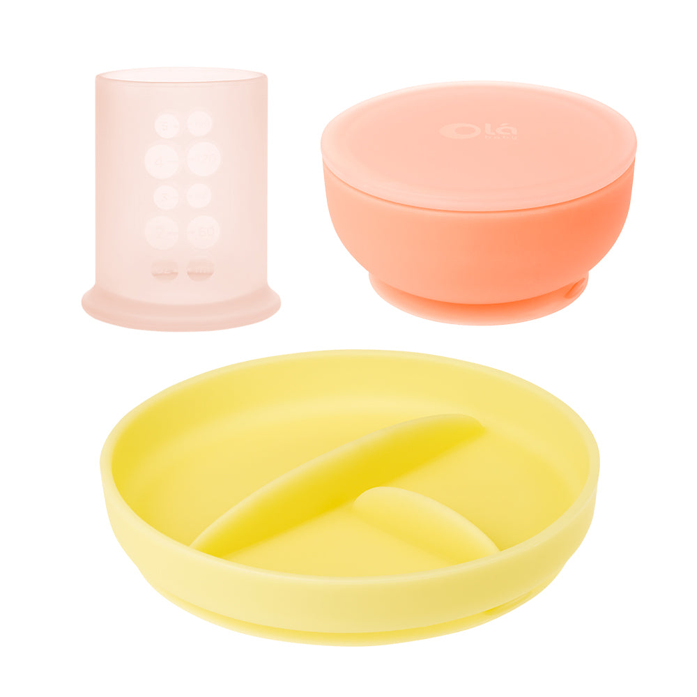 HIWOOD Baby Suction Bowls with Leakproof Premium Plastic Lids, Super Strong  Suction Bowl for Babies & Toddlers, First Feeding Baby Silicone Bowls