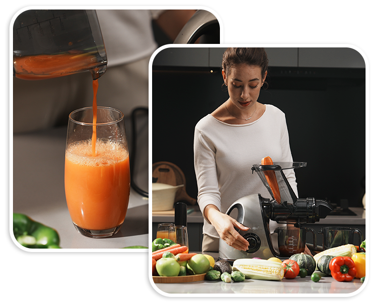 Masticating Cold-Press Juicers 2-Speed – VIVIDMOO