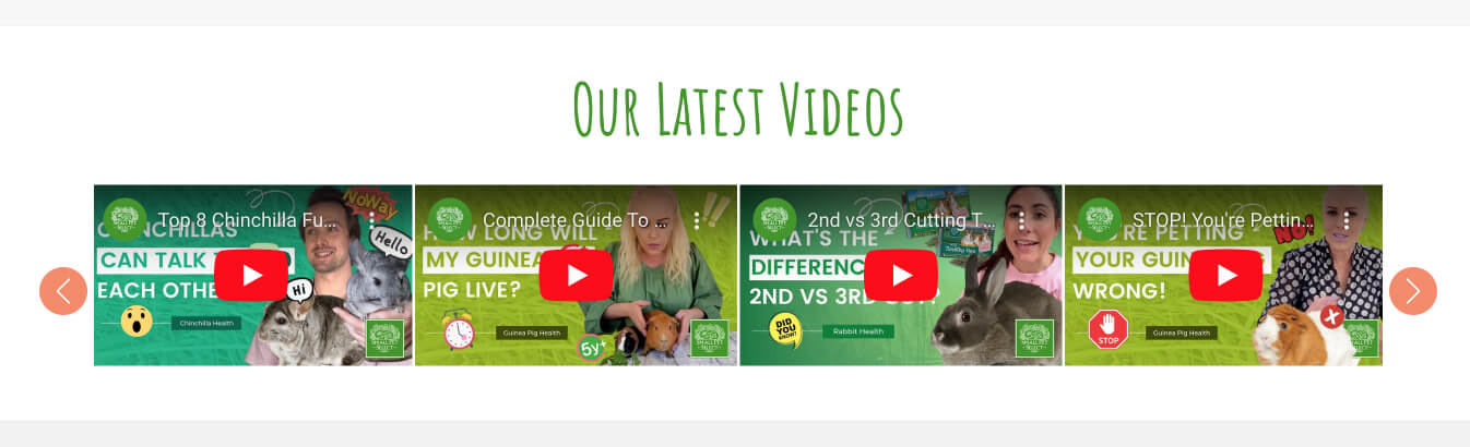 Strip of videos on e-commerce store.