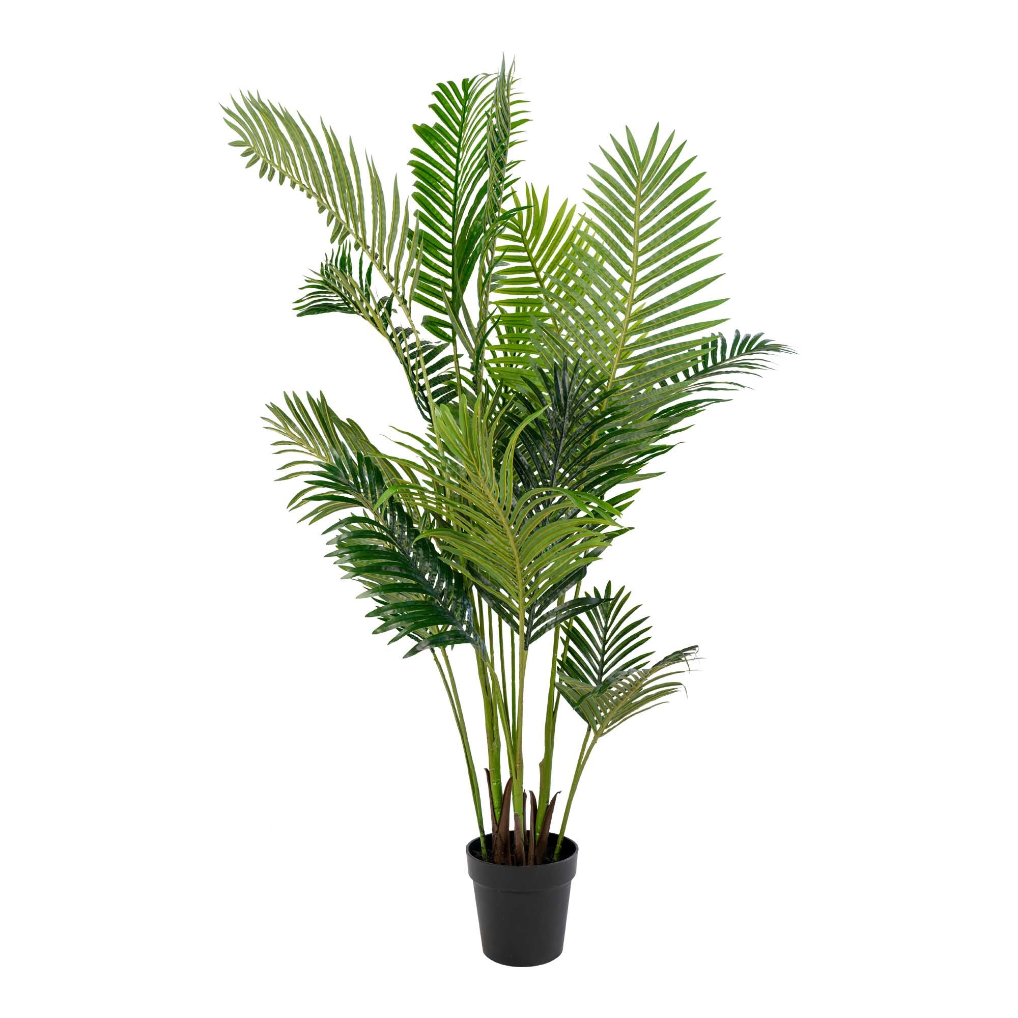 Areca Palme - Kunstig Palme, Grøn H:175 Cm