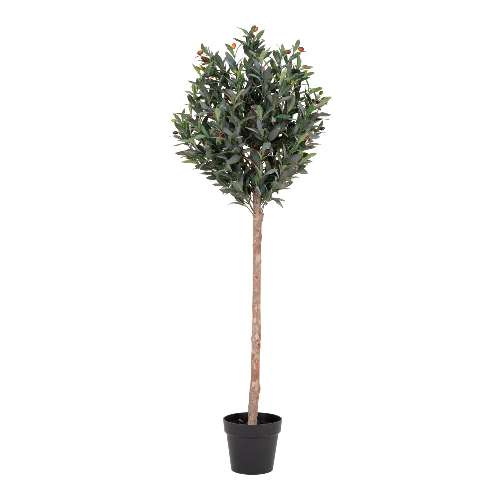 Oliventræ - Kunstig Plante, Grøn H:150 Cm