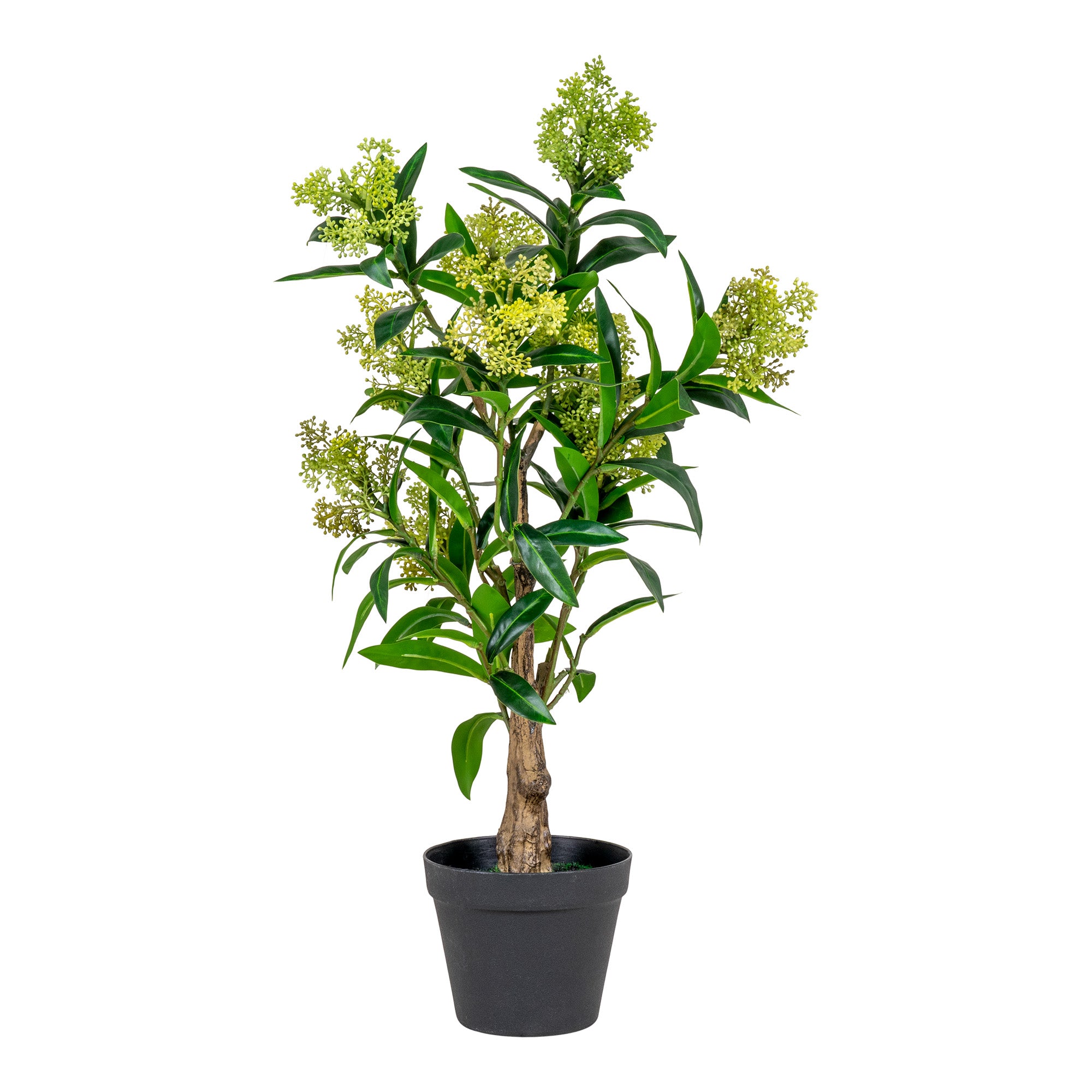 Se Skimmia Træ - Kunstig Plante, Grøn H:75 Cm hos Billige Bolig Møbler