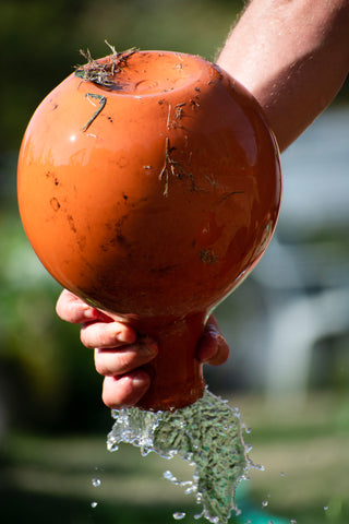 Water being emptied from a GrowOya Oya water pot.