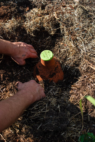 Oya watering Pot being removed for garden bed