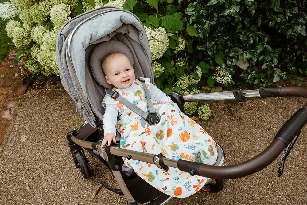 Baby in a pram