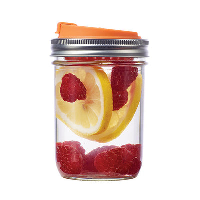 https://cdn.shopify.com/s/files/1/0799/1141/products/82639_FruitInfusionLid_WideMouth_400x.jpg?v=1489435603