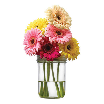Kilner Drinking Jar Flower Lids  Daisy Lids For Drinking Jars - Buy at  Drinkstuff