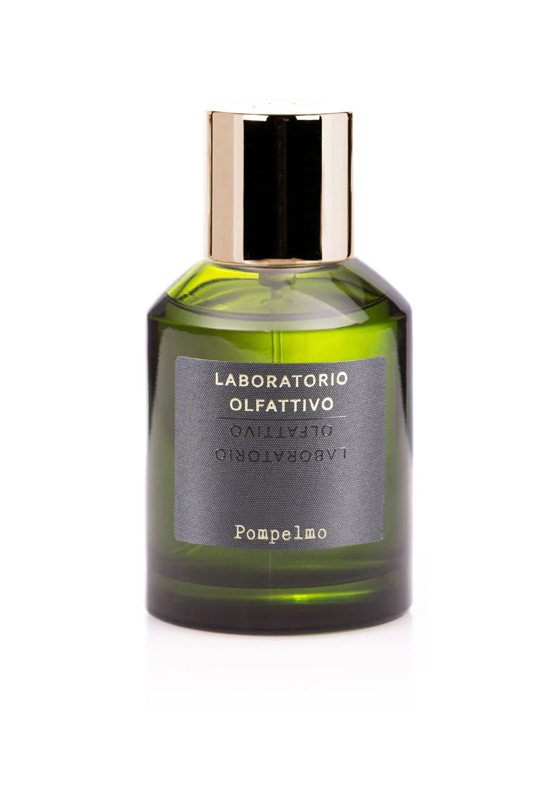 Olfactory Laborator… - image