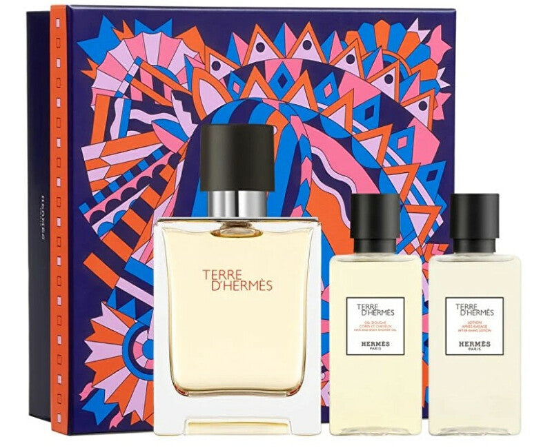 Hermes Terre D` Her… - image