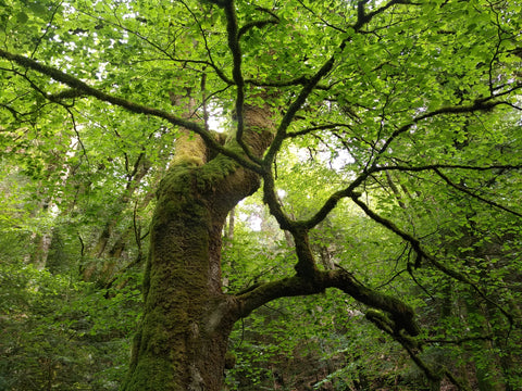 Eco-responsible running clothing