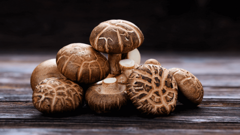 Shiitake imahe