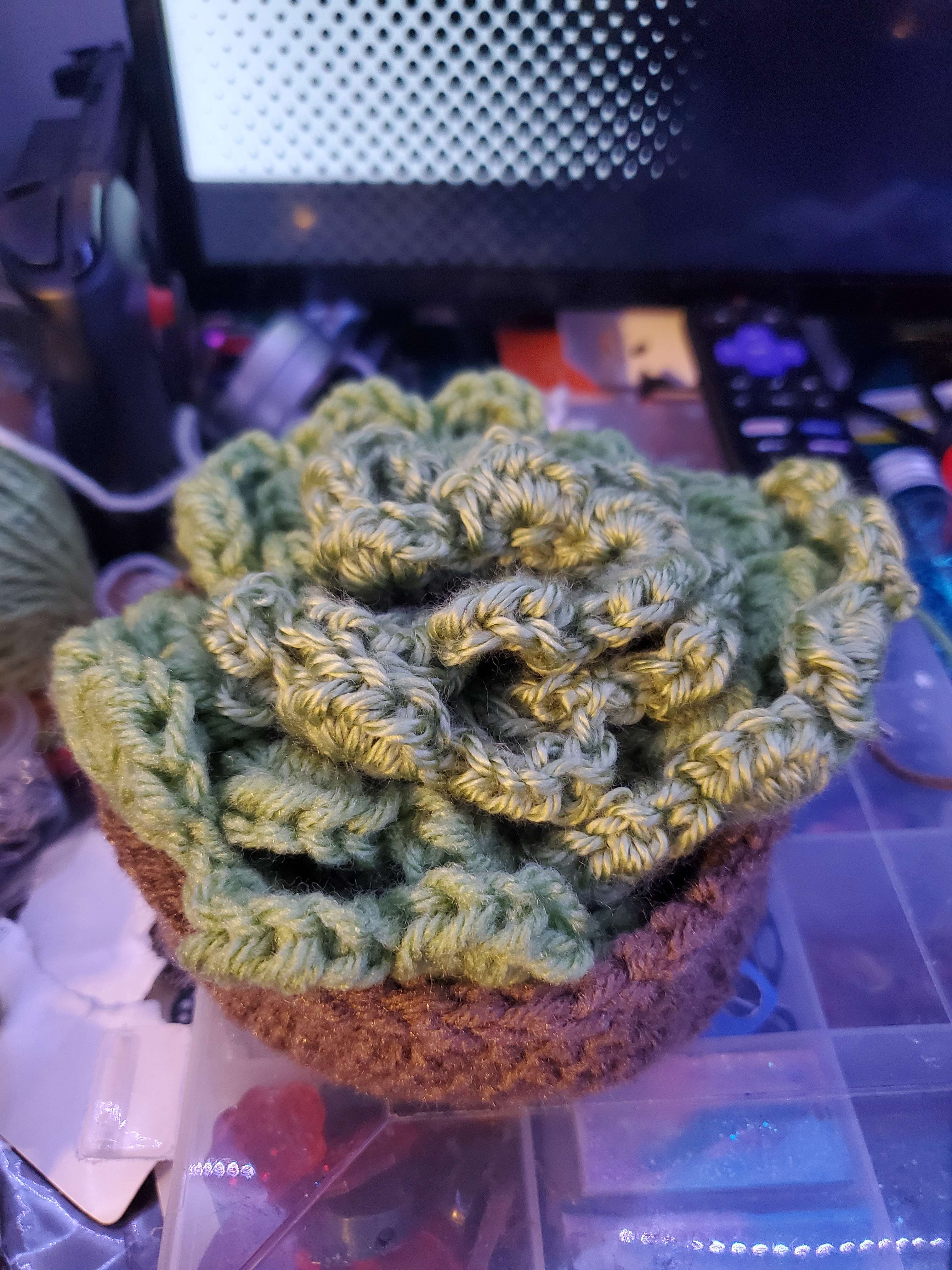Succulent coaster Set
