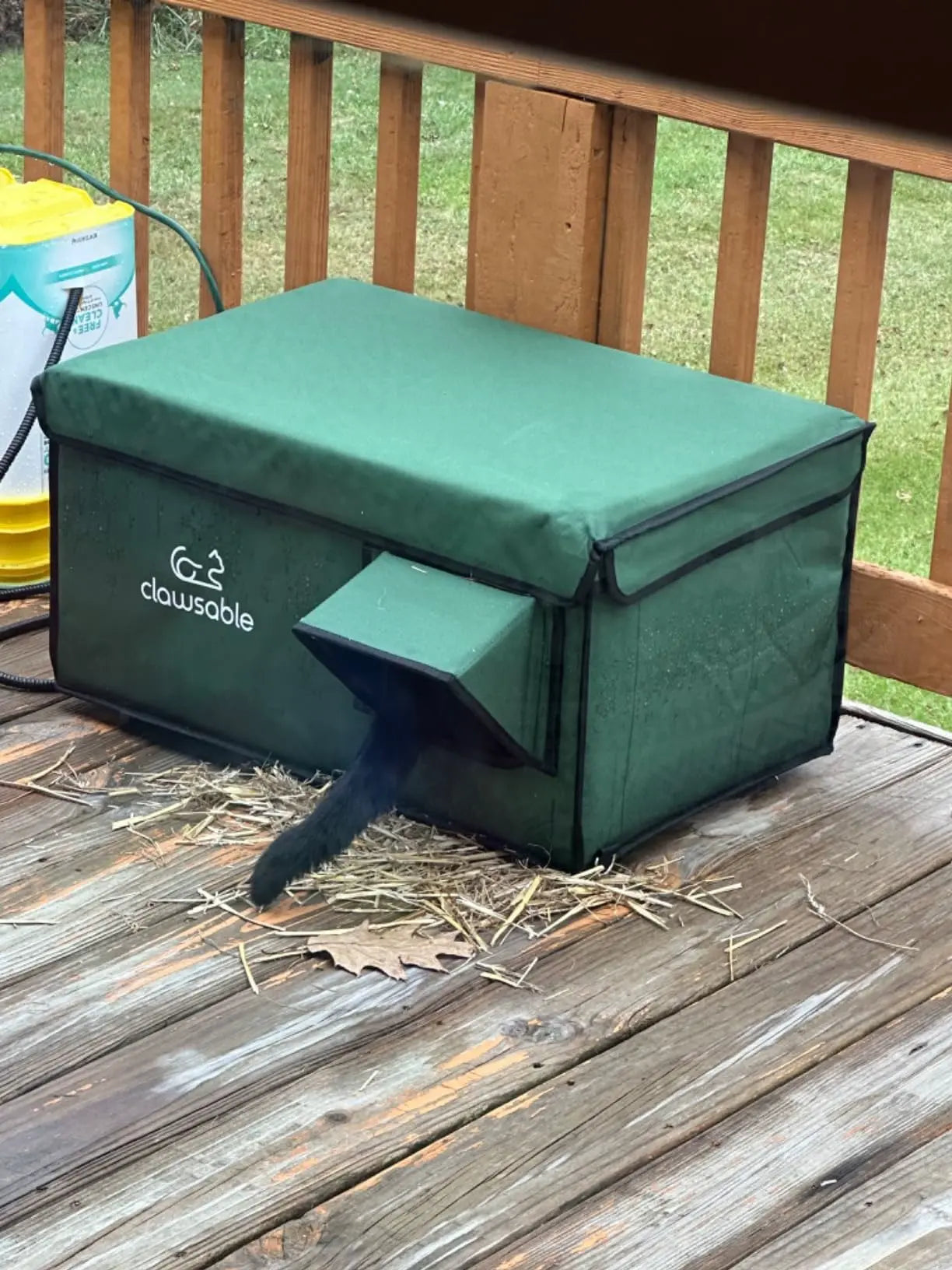 A-sharp-cat-house