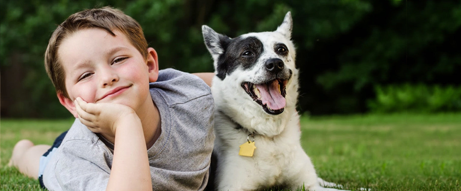 why is it good for a child to have a dog