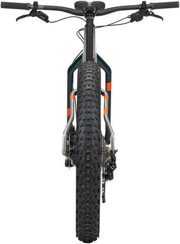 salsa beargrease carbon sx eagle fat bike