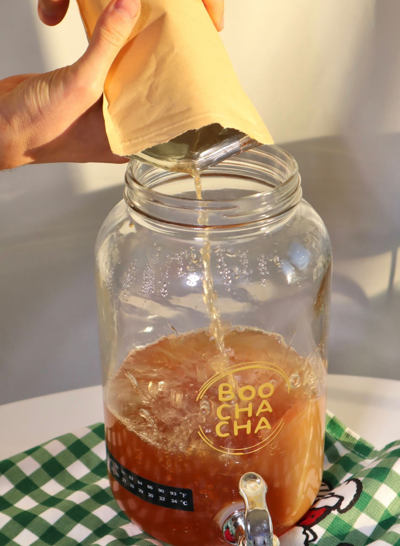 Kombucha brewing workshop students using complete kombucha starter kit from BooChaCha