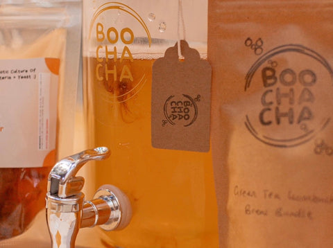Complete kombucha starter kit in action, with scoby seen floating around happily in some cool, sweet tea - boochacha