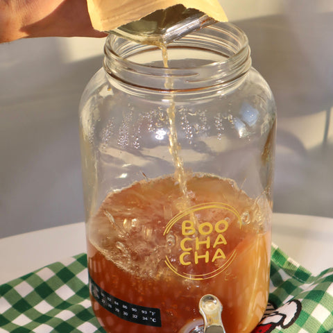 Photo of a complete kombucha starter kit from boochacha being set up in a beautiful kitchen, with the branding looking great and the kit being really easy and fun to use - boochacha