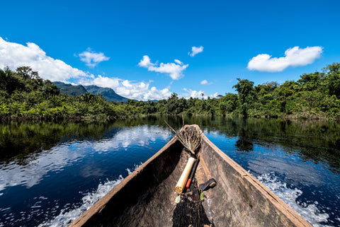 Boat travelling through Amazon rainforest jungle