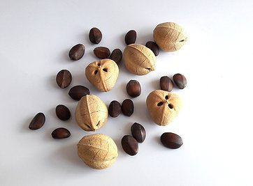 Cacaoyer, huile de noix de Kahai, concentré protecteur et réparateur pour le visage, sérum adoucissant pour la barbe et le chaume