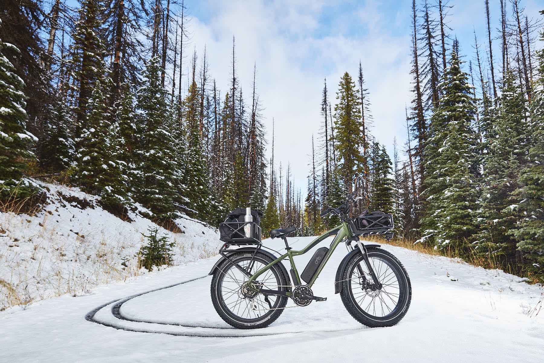 A forest green RadRover electric fat bike is perched on a snowy hill.