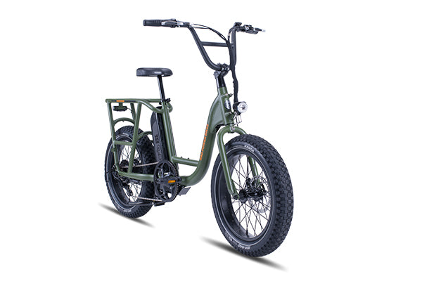 A green RadRunner electric utility bike