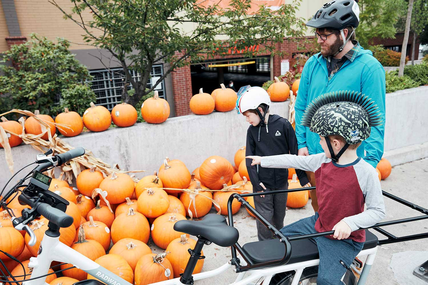 A father and two children pick out pumpkins at a pumpkin patch alongside a RadWagon electric bike.