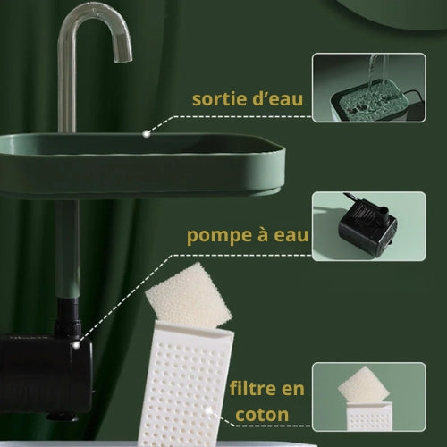 fontaine-à-eau-pour-chat-filtrée