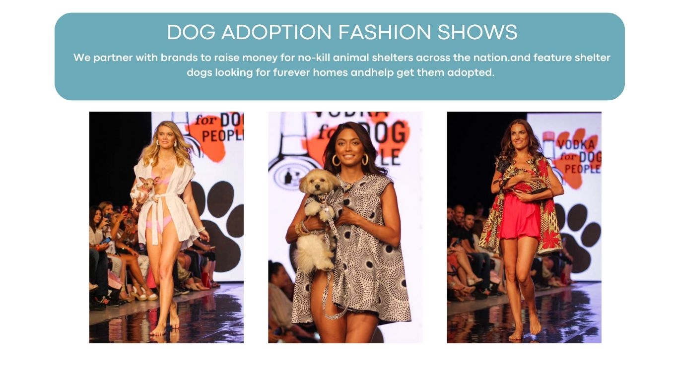 Dog Adoption Fashion Show
