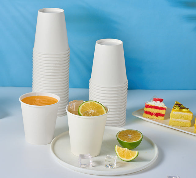 disposable tableware supplier