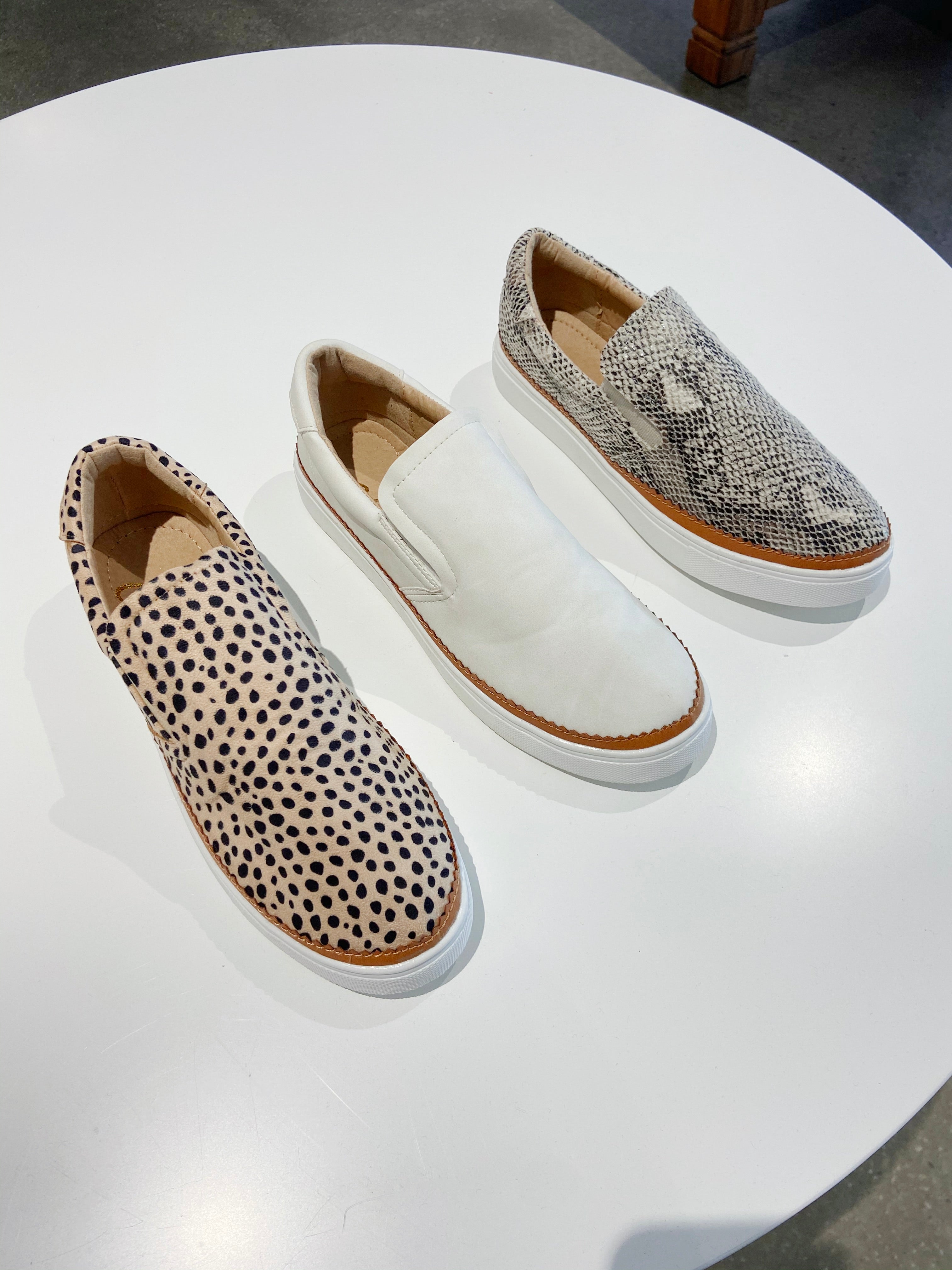 ccocci snakeskin sneakers