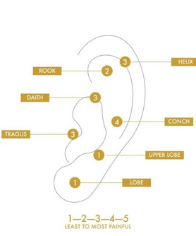 ear piercing pain chart