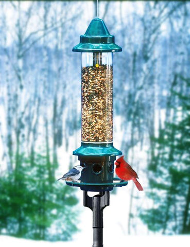 A Guide To Making a Bird Feeder