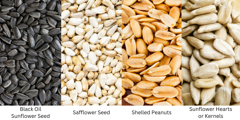 Different Kind of Seeds: Black Oil Sunflower Seed, Safflower Seed, Shelled Peanuts, and Sunflower Hearts or Kernels
