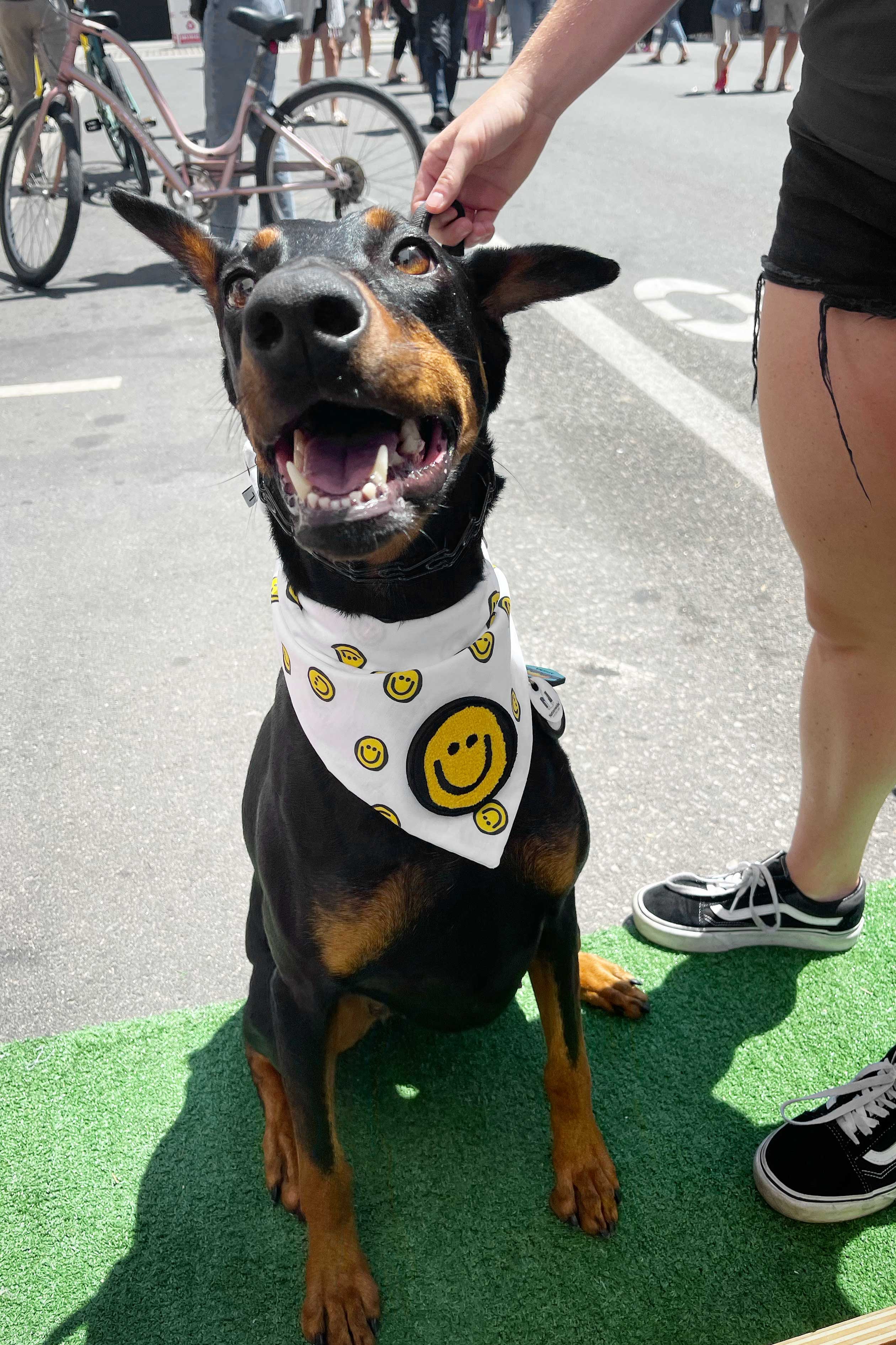 Dog Bandana Smiley Face  Puppy Accessories Yellow : Moose With Me® – Woolf  With Me®