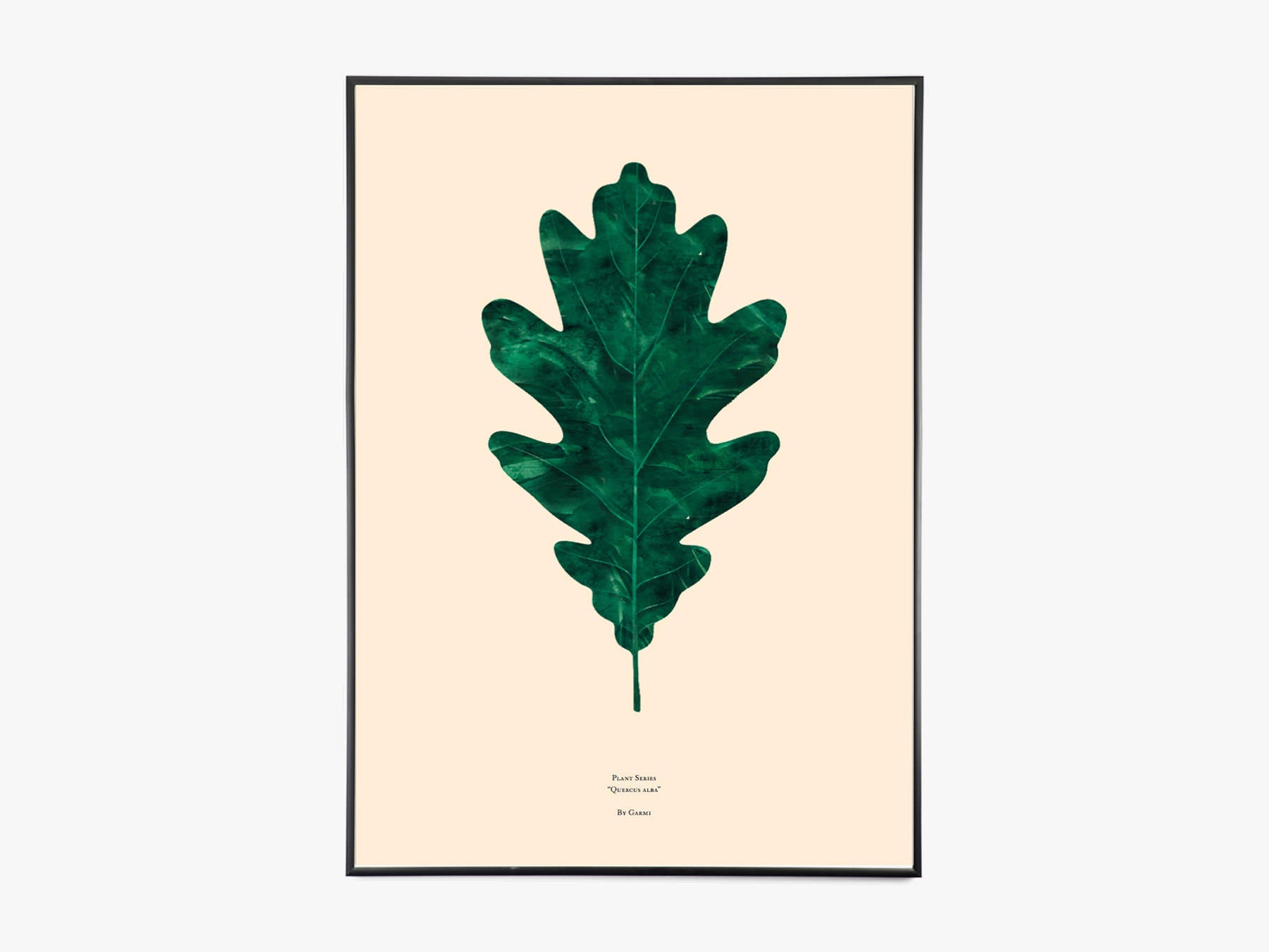 Quercus alba ek leaf - affisch från Garmi