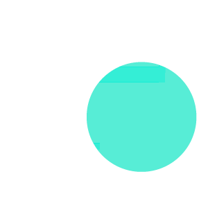 monkeywi cache webcam wallet protege carte bancaire