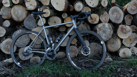 titanium bike in the woods