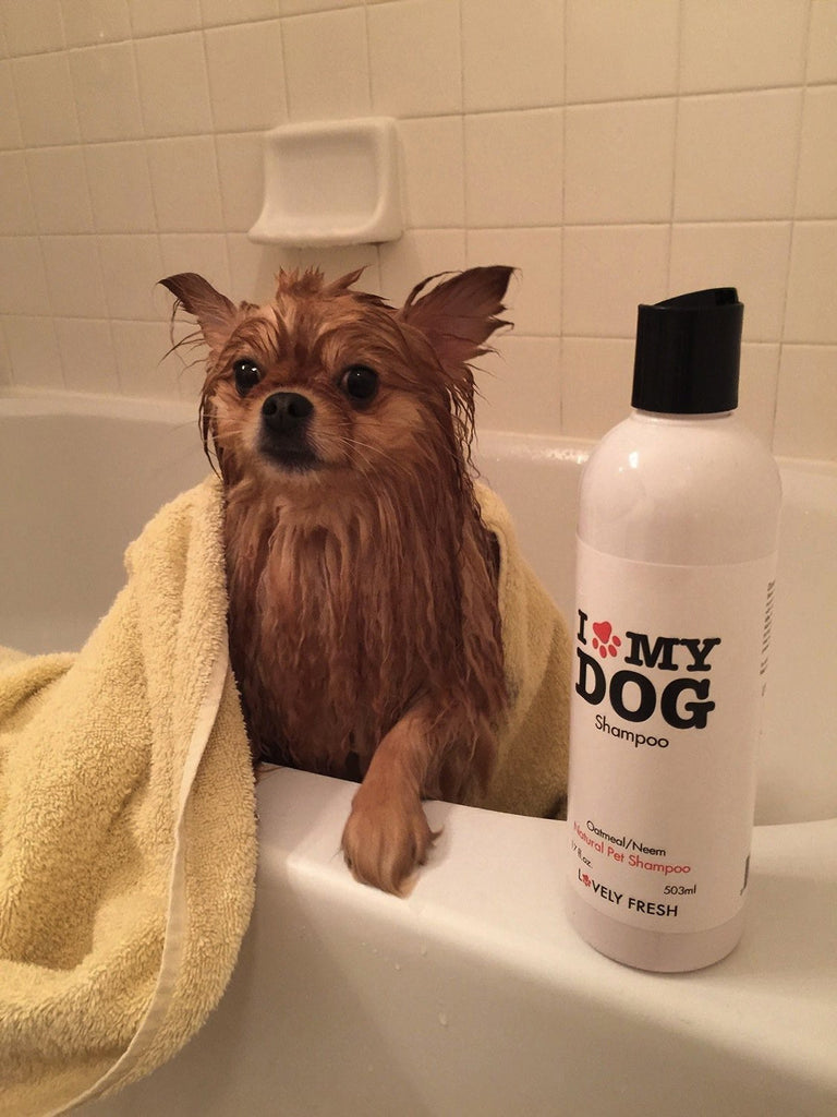 best-natural-dog-shampoo-all-natural-made-in-usa-lovely-fresh